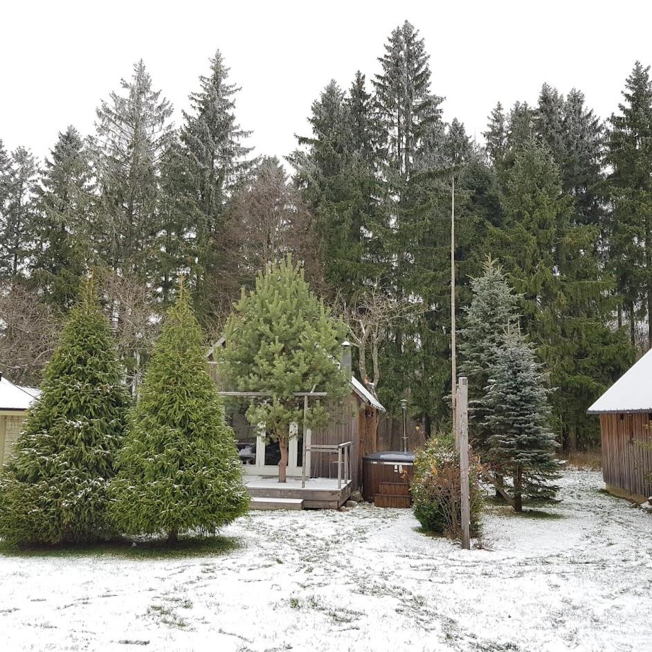 Namelis su ofuro vonia prie Plateliu ežero photo 4