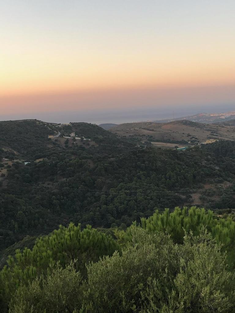 Stylish 3 bed house 2 bathrooms with patio, roof terrace and communal pool 5 minutes away from the beautiful Spanish white village of Casares Pueblo and only 20 mins from the sea photo 4