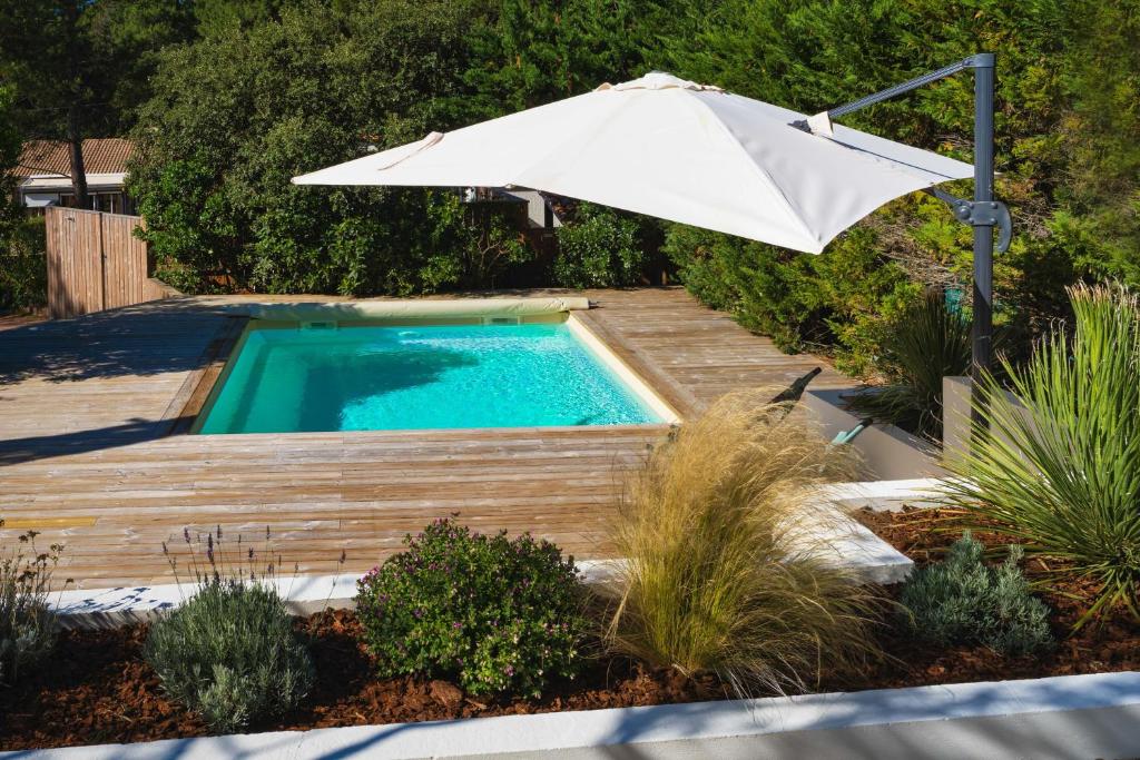 Villa Piladi photo 4