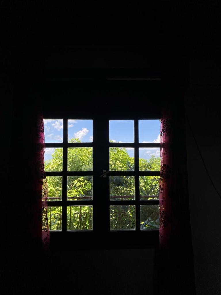 The Kapokier photo 4