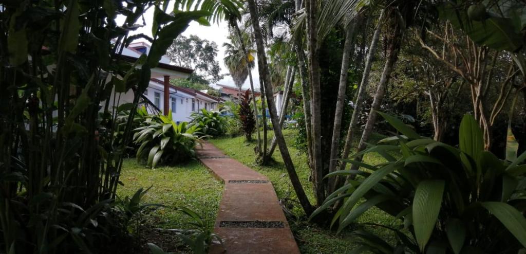 Geliwa B&B photo 3