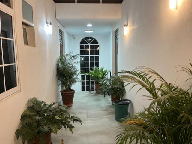 Godinez House photo 2