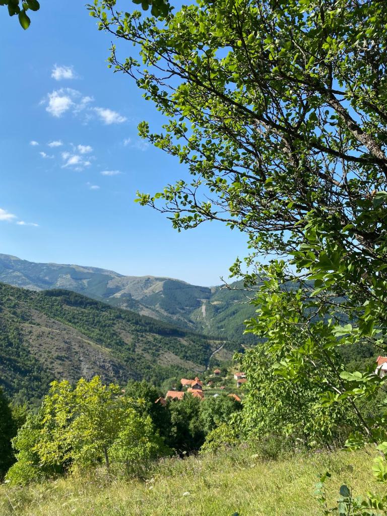 Domaćinstvo Maksimović photo 3