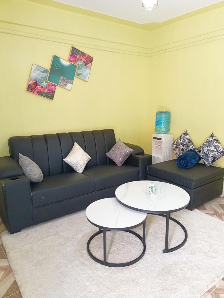 SOUTHLAKE FULLY FURNISHED TWO BEDROOMS APARTMENTS