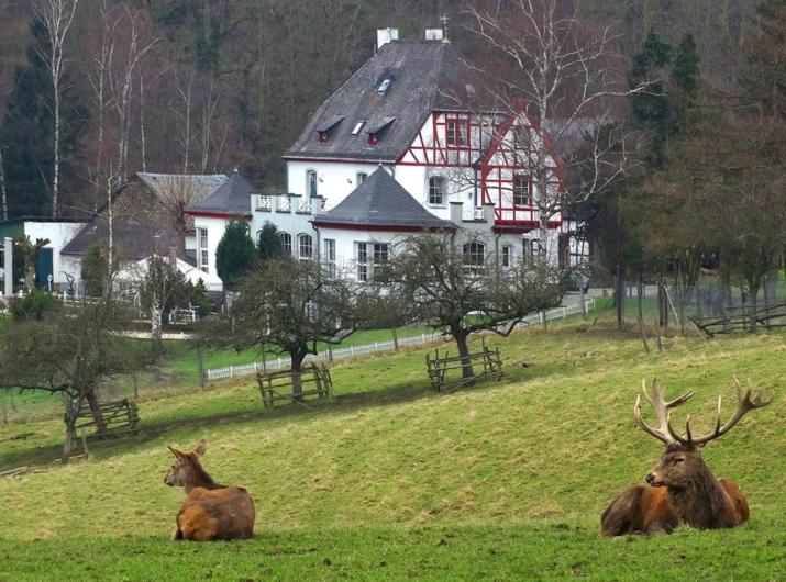 Ferienwohnung in Lahnstein am Rhein photo 1