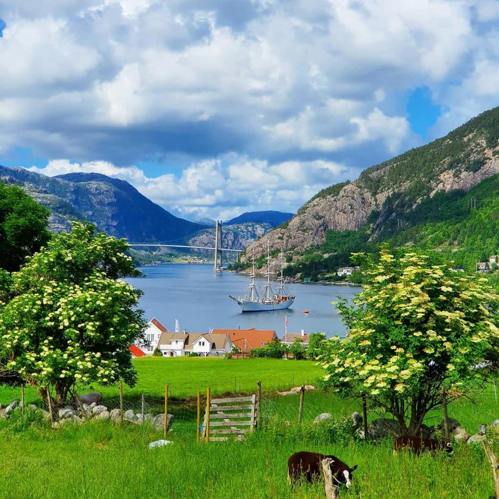 Lysefjorden - Gøysa Gard photo 3