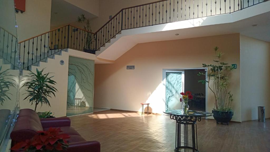 HOTEL PLAZA PACHUCA photo 3