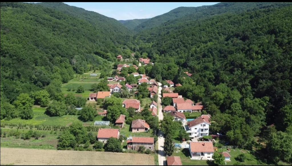 Domaćinstvo Trifunović photo 4