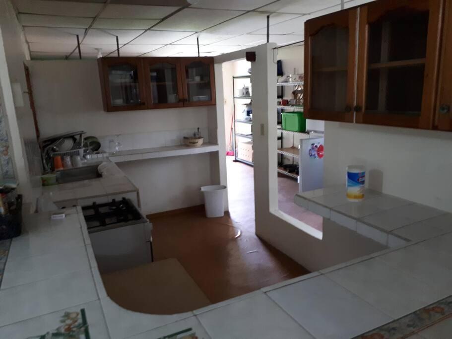Gia's Garage & Home for Bocas travelers photo 3