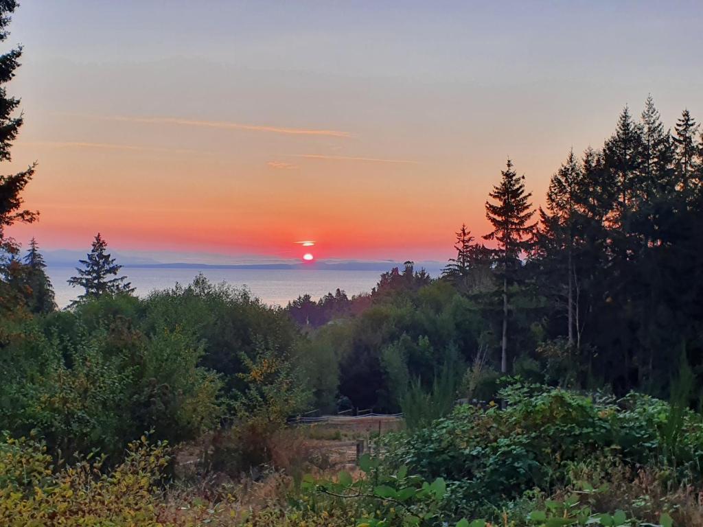 Forest by the Sea Rentals photo 1