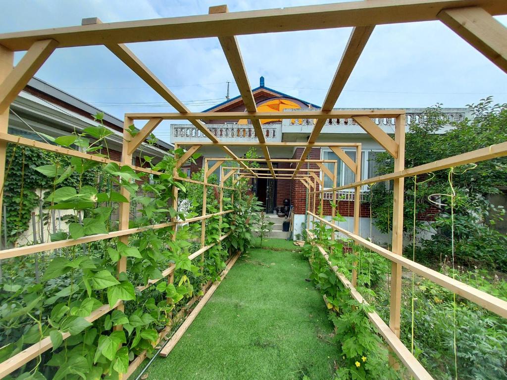 Grandmother's Vegetable garden photo 2