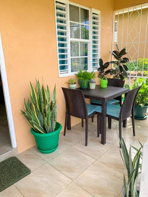 Cozy Villa photo 2