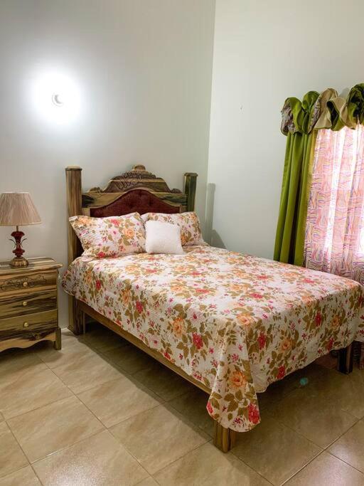 Cozy Villa photo 4
