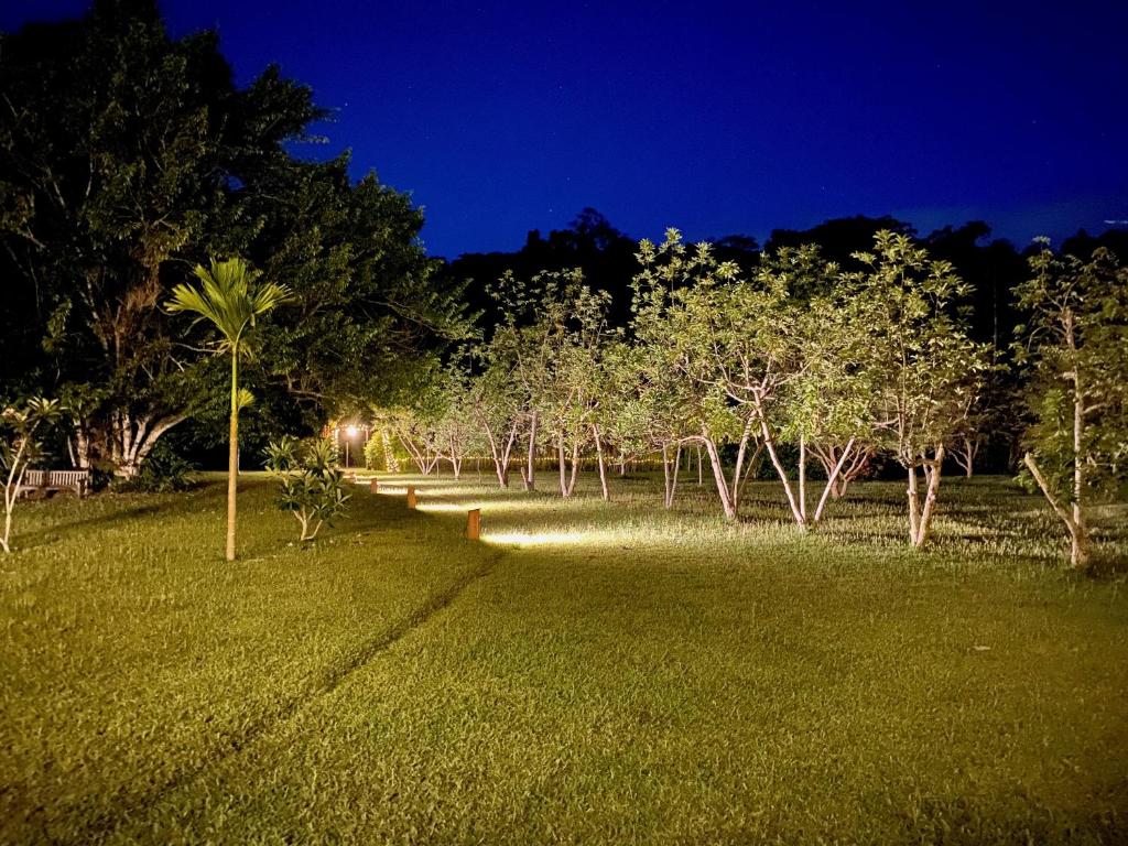 Freshwater Private Resort photo 4