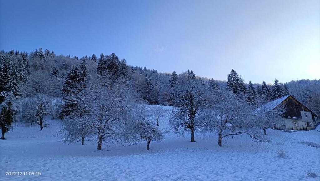 Gîte Cœur de Haute-Savoie photo 4