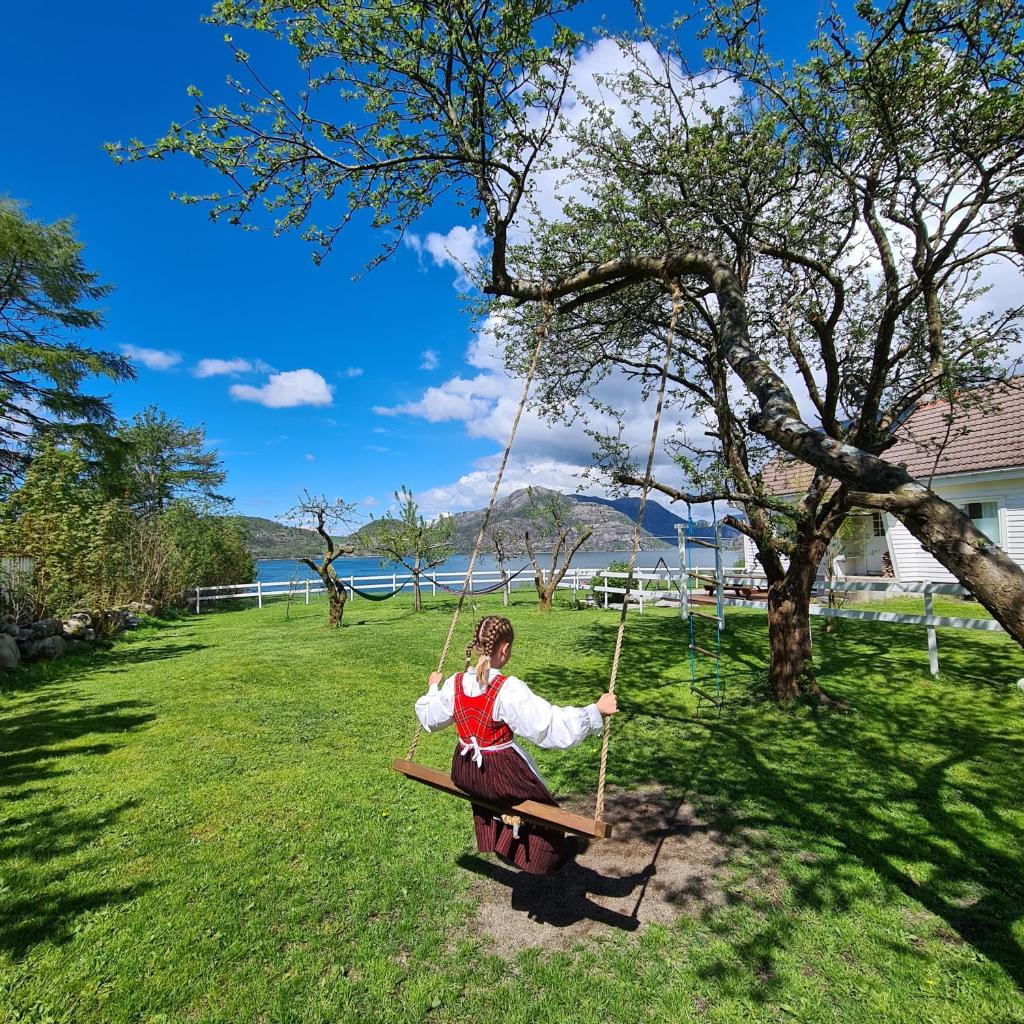 Lysefjorden - Gøysa Gard photo 4