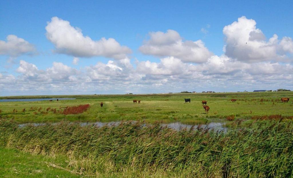 Hof Rickelsbüll - Nordseeurlaub auf dem Biobauernhof photo 4