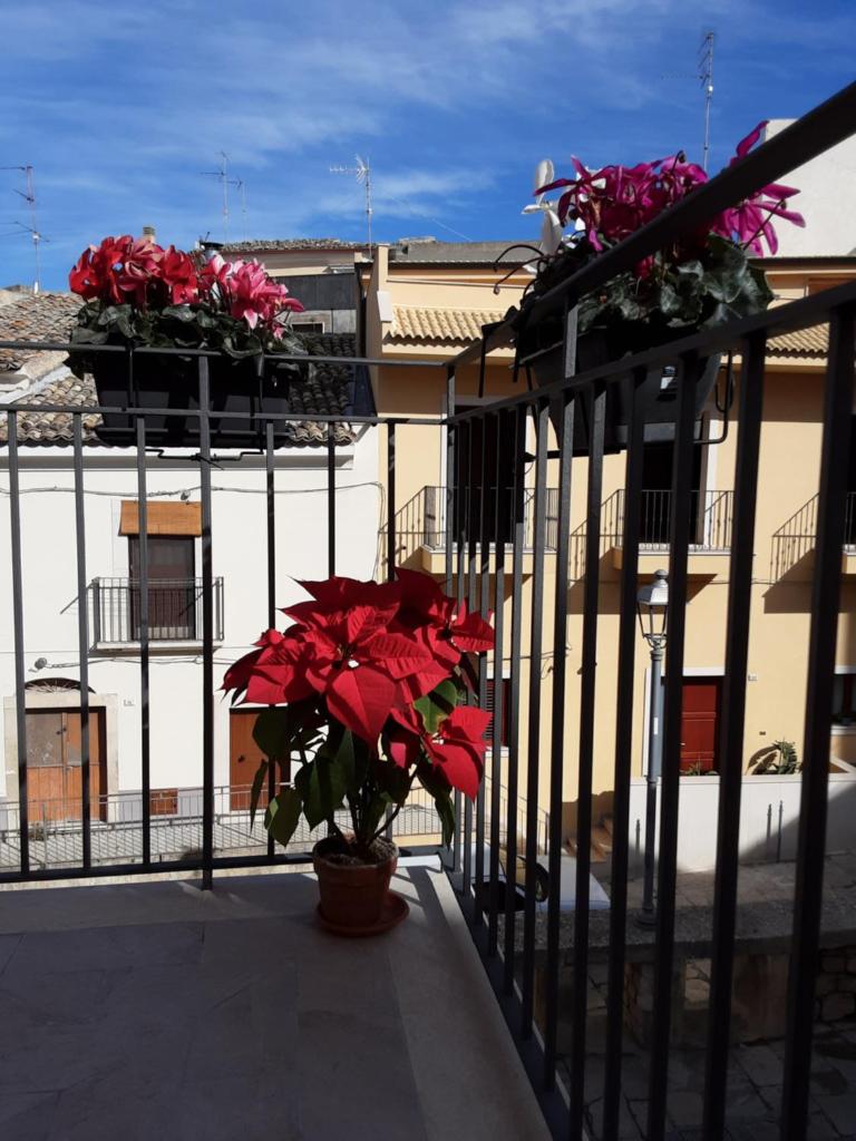 CASA STELLA photo 2
