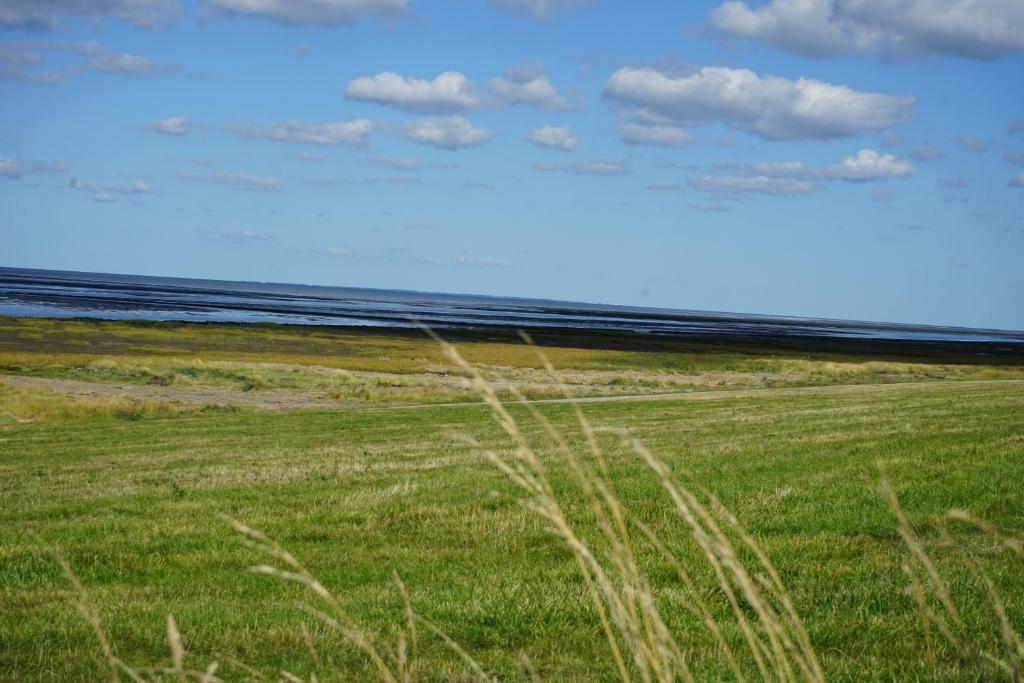 Hof Rickelsbüll - Nordseeurlaub auf dem Biobauernhof photo 2