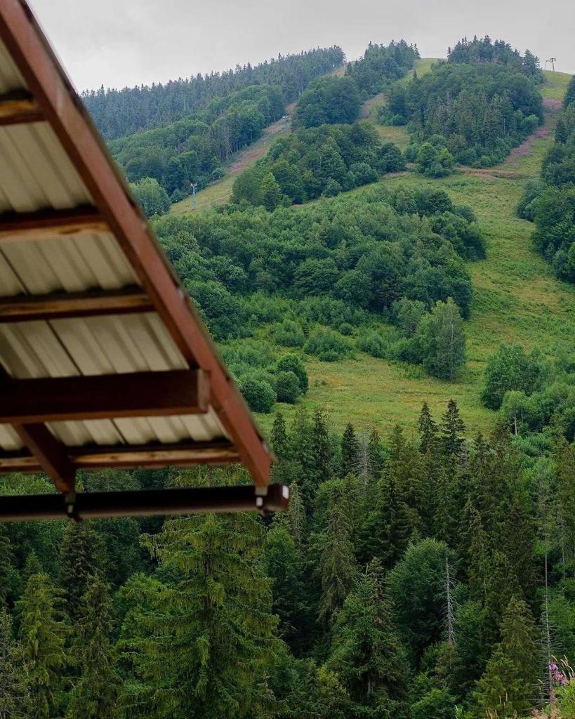 Hillside photo 3