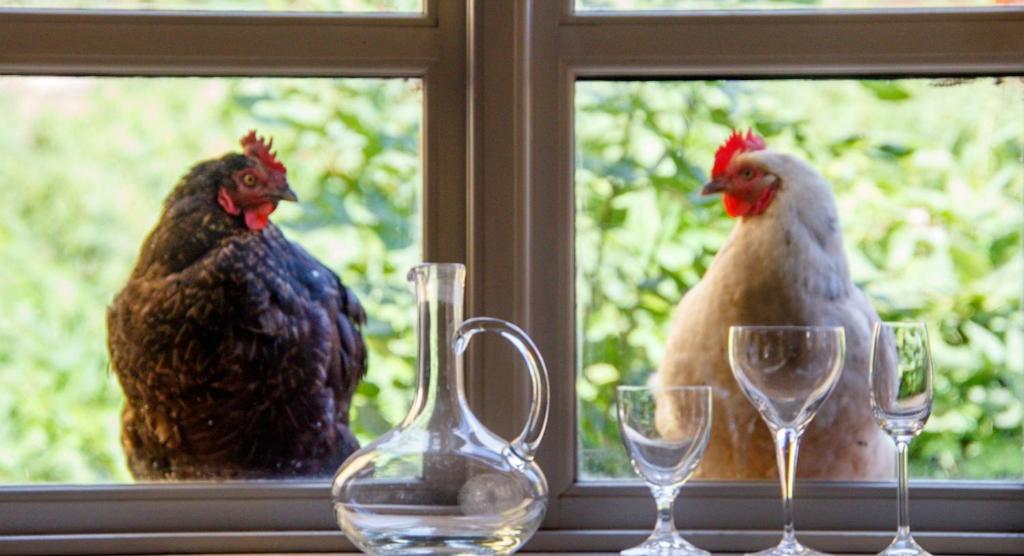 Lindenhof ChezArtistes photo 1