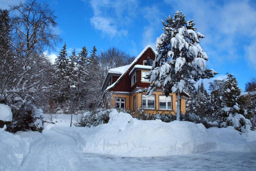 Haus "Belvidere" photo 2