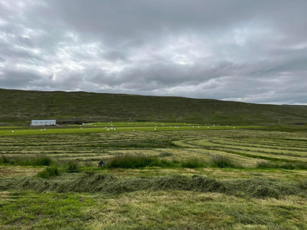 Óspaksstaðir- New Renovated Farm in Hrútafjörður photo 4