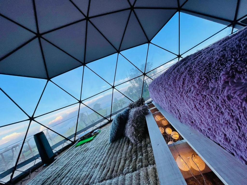 Stellarium Glamping photo 2