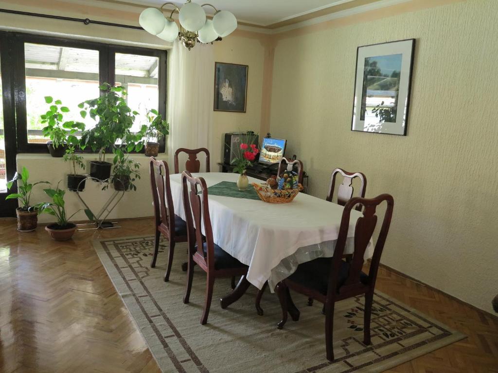 LAVRNIĆ photo 4