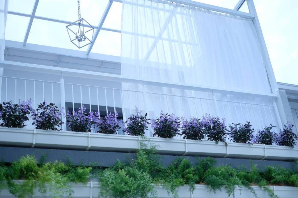 Comfy Sofy 23- Balcony Garden (Night market)