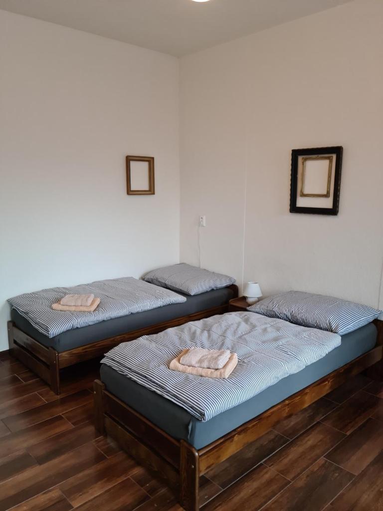 La Casa Rosa photo 1