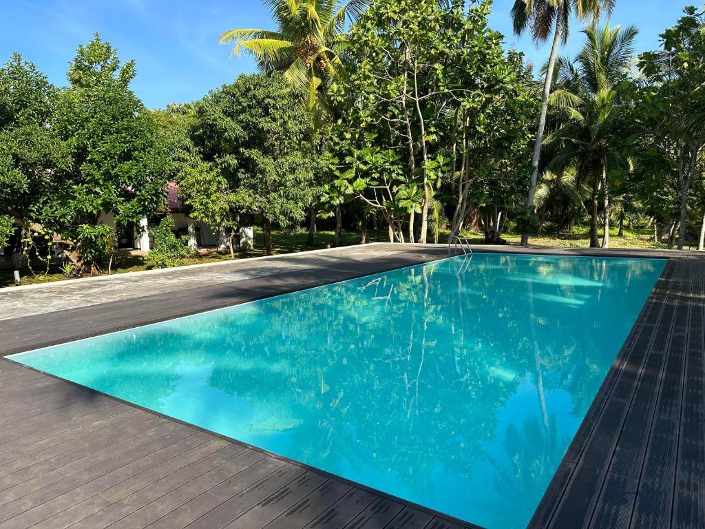 Hummingbird Leisure Villa-Anuradhapura photo 3