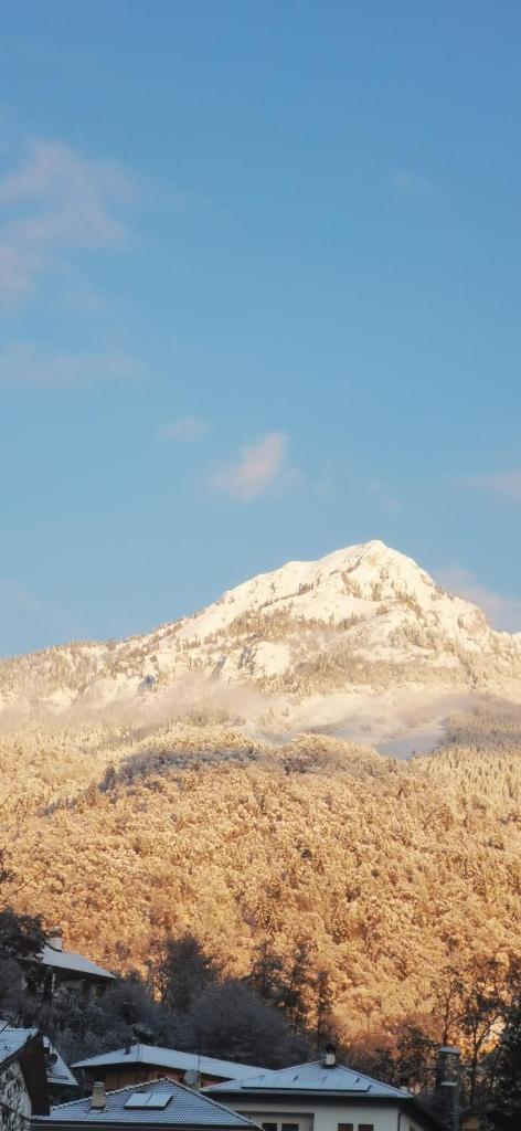 miniapp. a 2 km da Pedavena photo 3