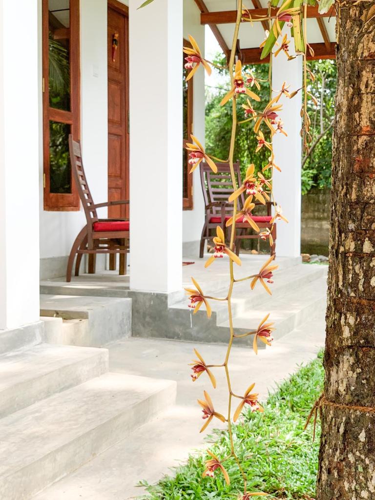 KAIA private bungalows photo 2
