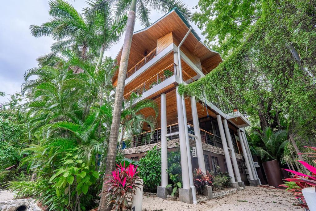 Entire Nosara Tree House photo 3