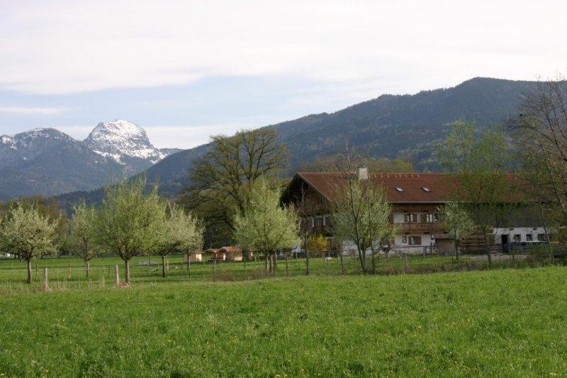 Braunhof photo 2