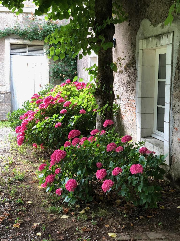 Gîte La Sellerie photo 2