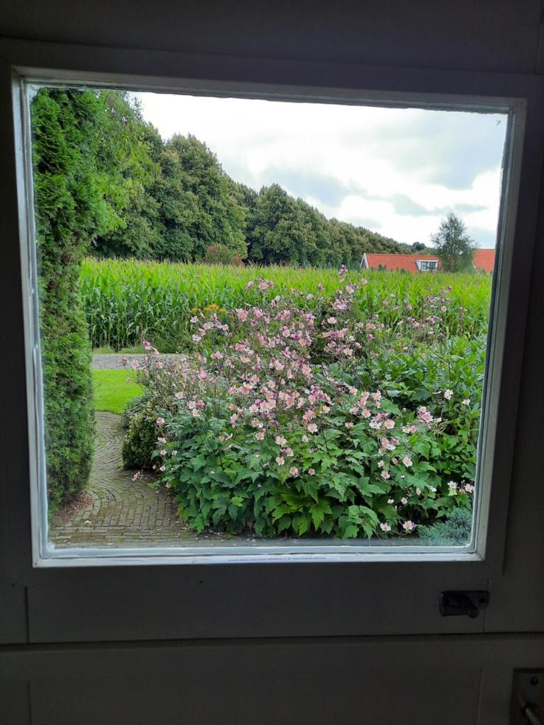 Vledderstee photo 2