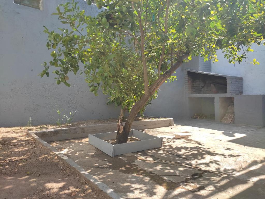 Alojamiento Barrio Sur photo 1