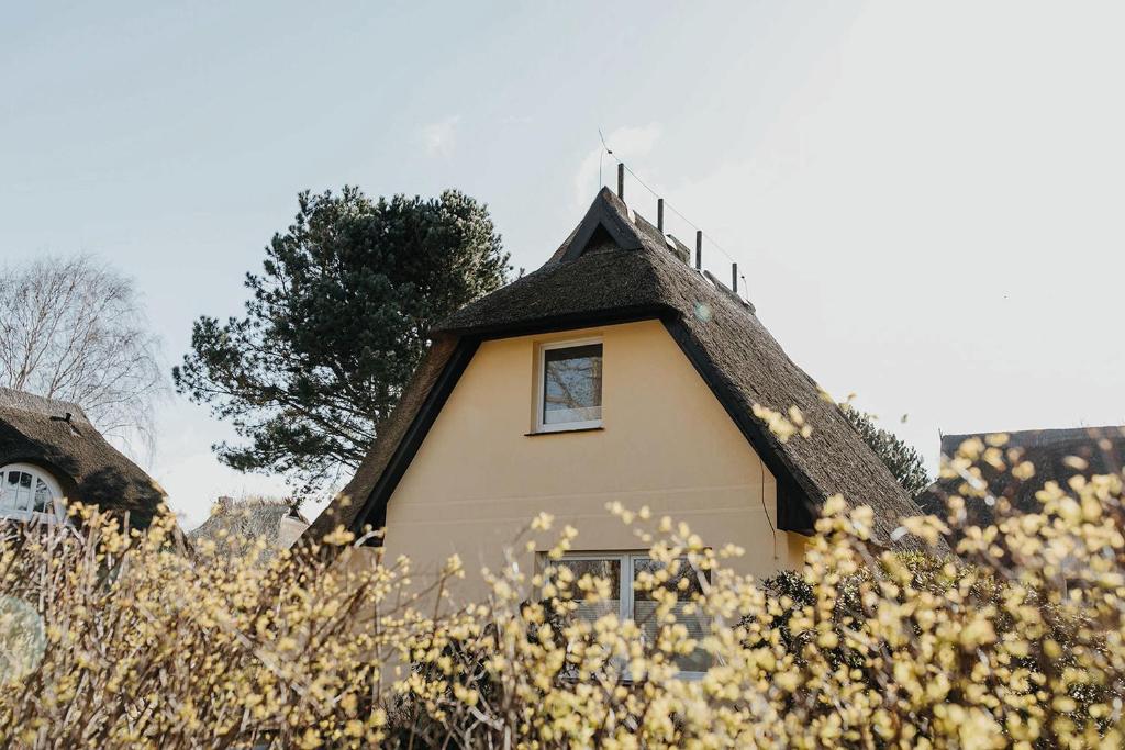 Haus Seestern photo 3