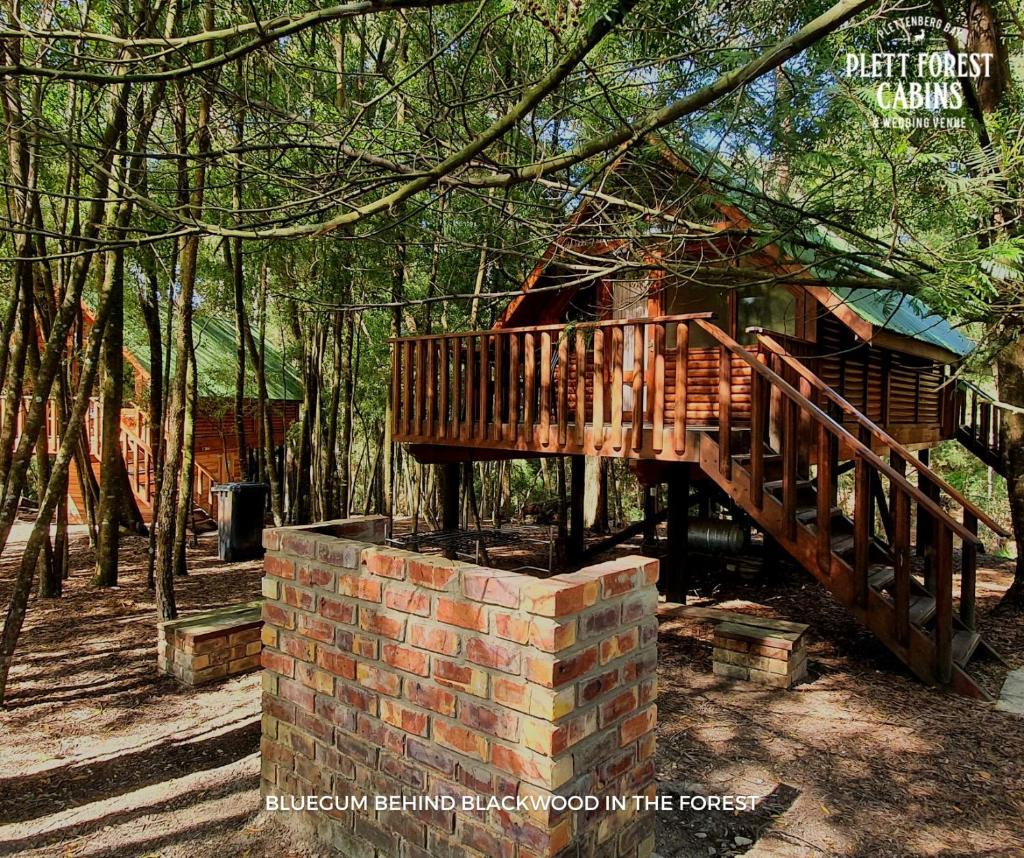 Plett Forest Cabins photo 1