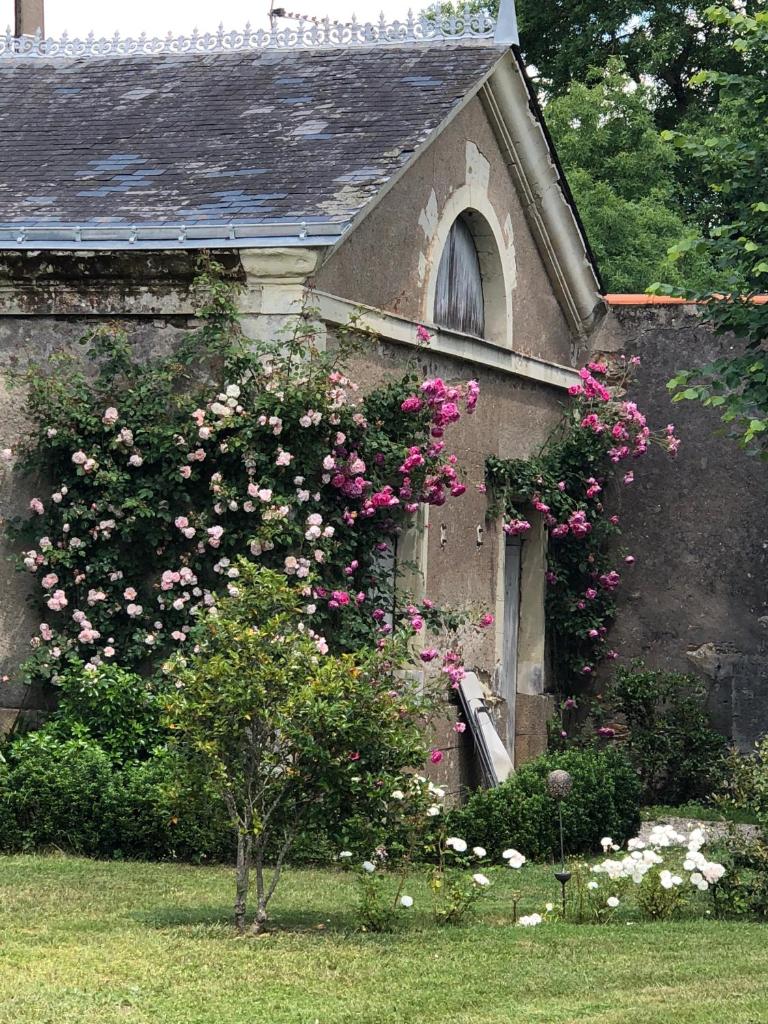 Gîte La Sellerie photo 4