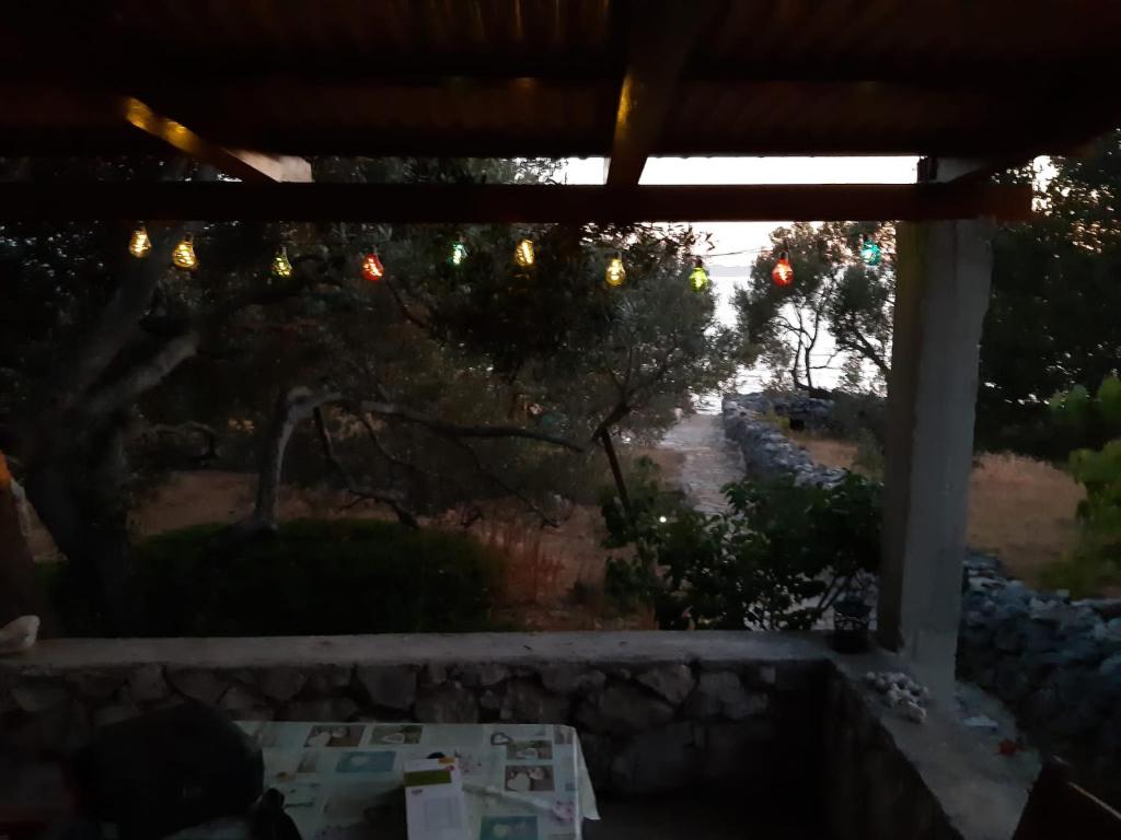 Robinzon house Pia photo 2