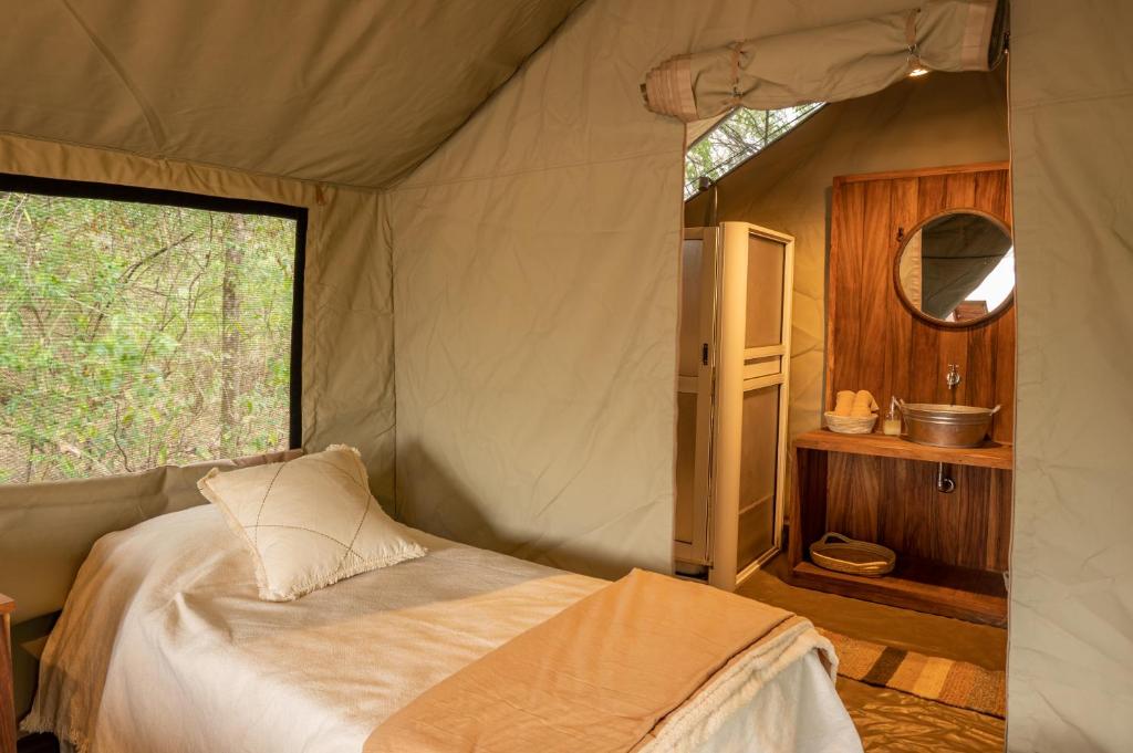 Glamping Los Palmares photo 3