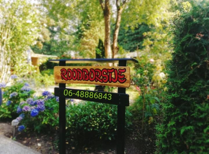 Roodborstje 4 persoonschalet Putten photo 4