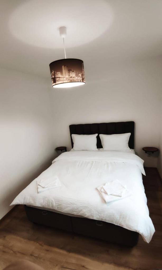 Cavnic Hills Apartments photo 3