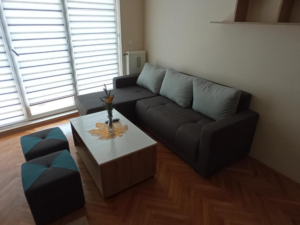Apartman STANKOVIĆ photo 1