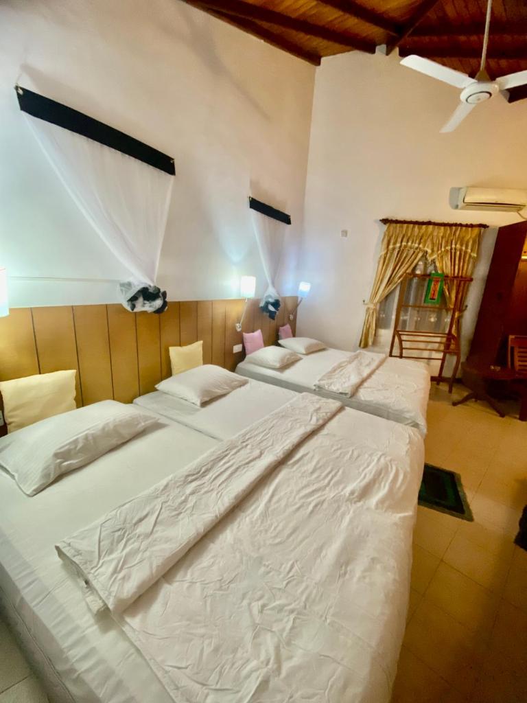 Hikka Paradise Guest House photo 4