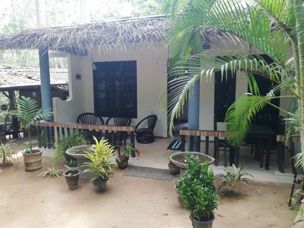 Sea Breeze Garden photo 2