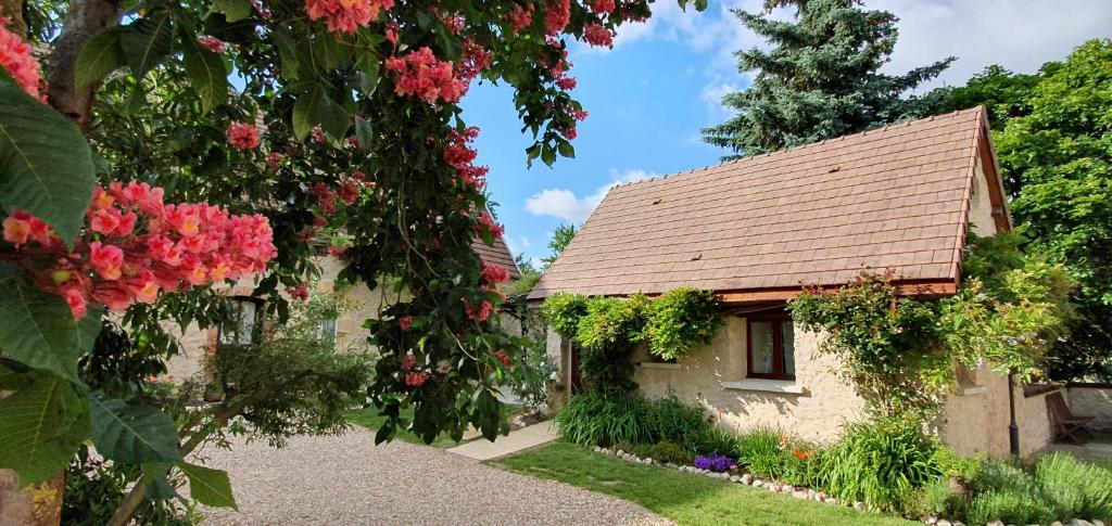 Domaine Des Médards photo 3